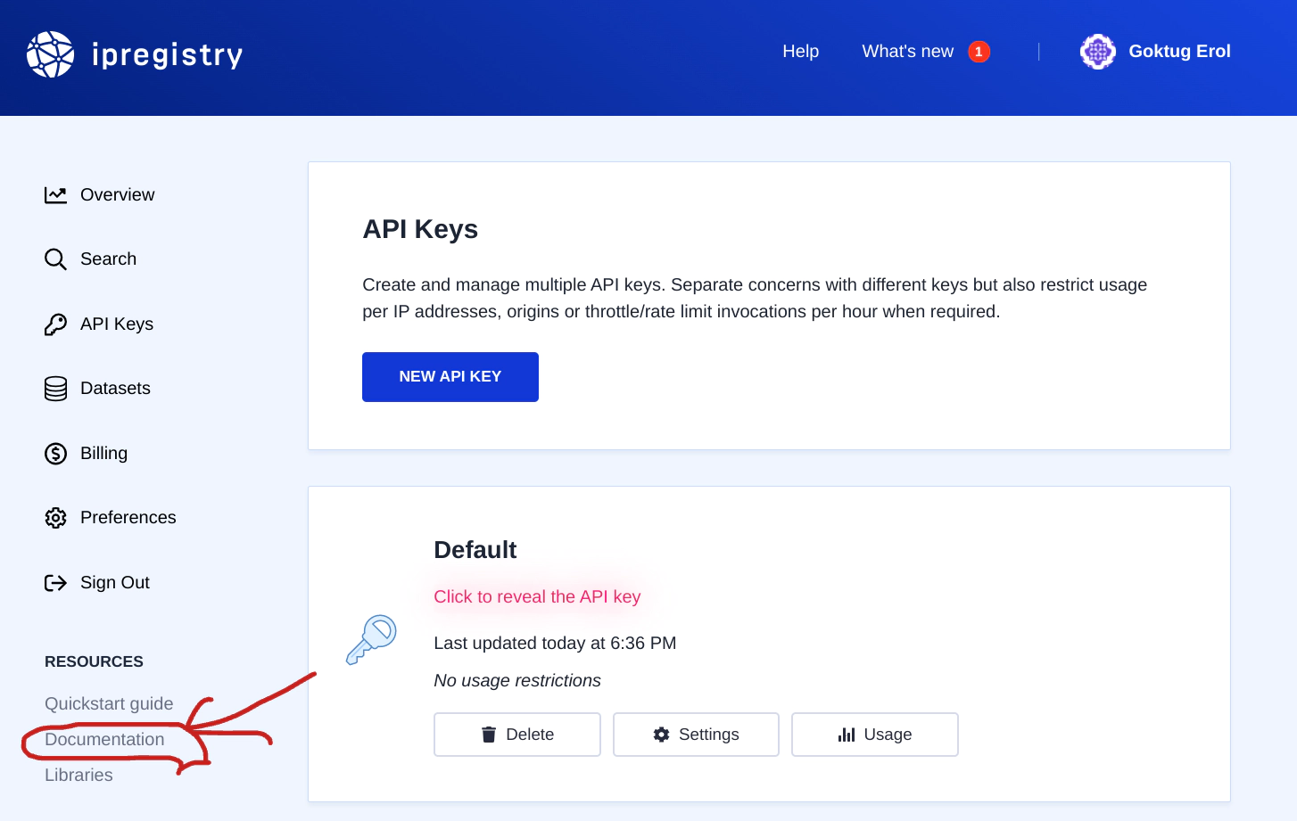 IP Registry Documentation